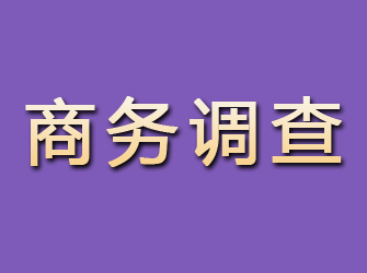 五大连池商务调查